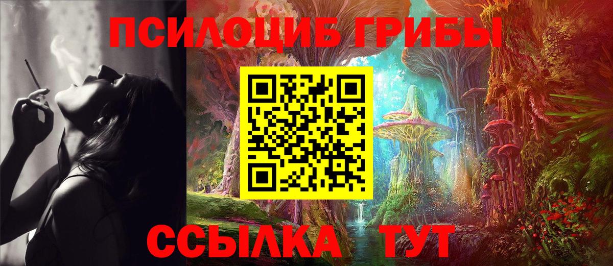 Галлюциногенные грибы Cubensis  Вход с VPN  Кунгур 