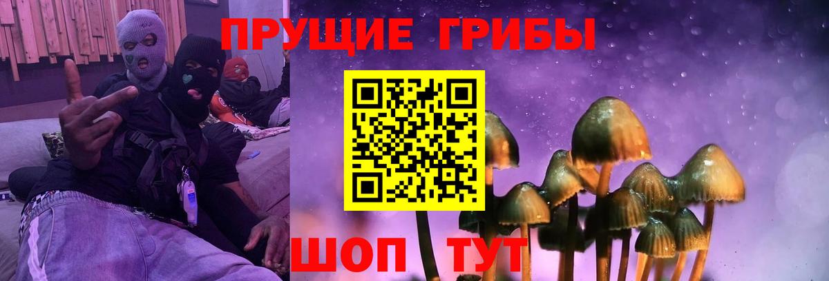 Псилоцибиновые грибы мухоморы Кунгур
